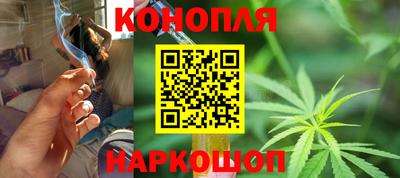 прущие крисы Новозыбков