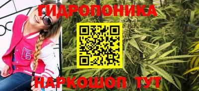 МДПВ Новодвинск