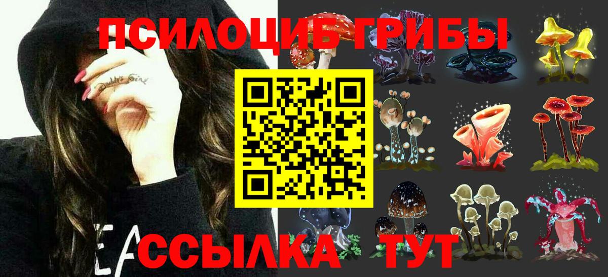 Сочи  Псилоцибиновые грибы Psilocybe  Вход с VPN 