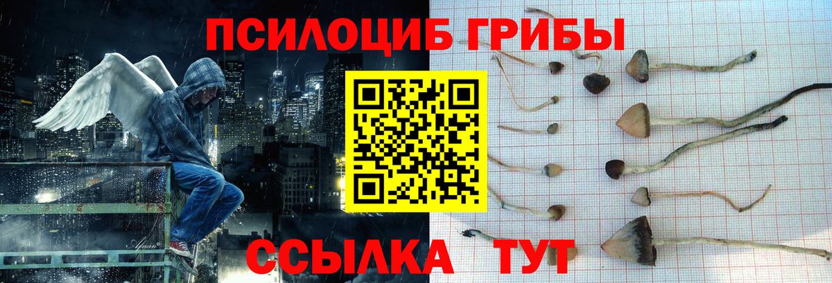 Псилоцибиновые грибы прущие грибы Сочи